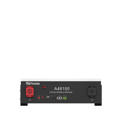 Batteria Dyness A48100 4,8kWh - Modulo Espandibile per Fotovoltaico