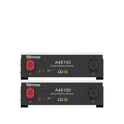 Batteria Dyness A48100 4,8kWh - Modulo Espandibile per Fotovoltaico