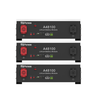 Batteria Dyness A48100 4,8kWh - Modulo Espandibile per Fotovoltaico